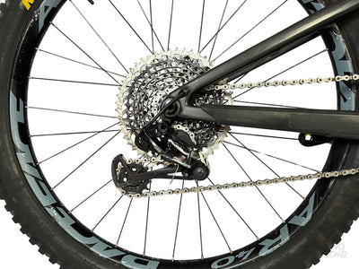 Santacruz 5010CC 2020 - M