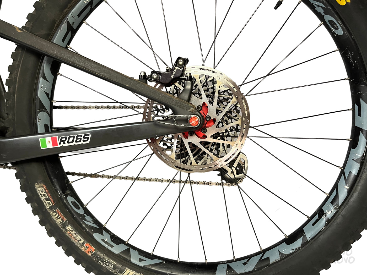 Santacruz 5010CC 2020 - M