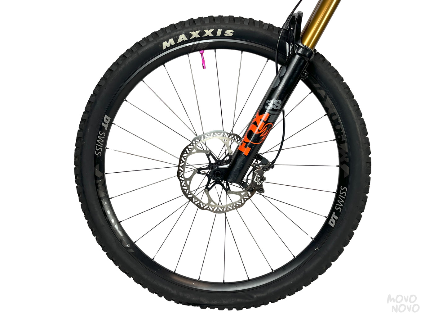 Salsa Cassidy 2022 - M