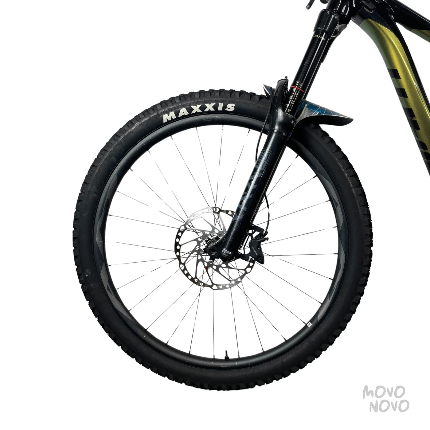 Giant Reign 2021 - M