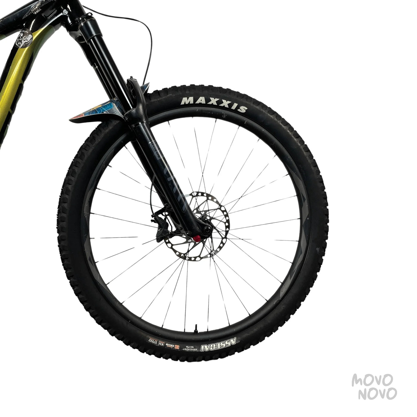 Giant Reign 2021 - M