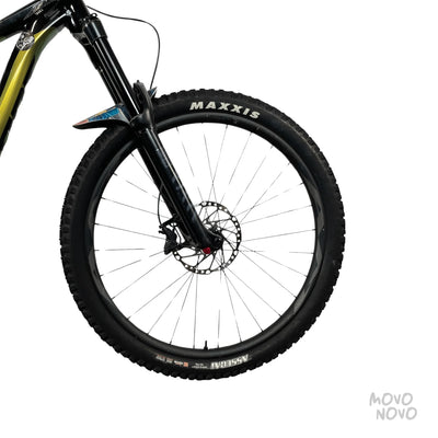 Giant Reign 2021 - M