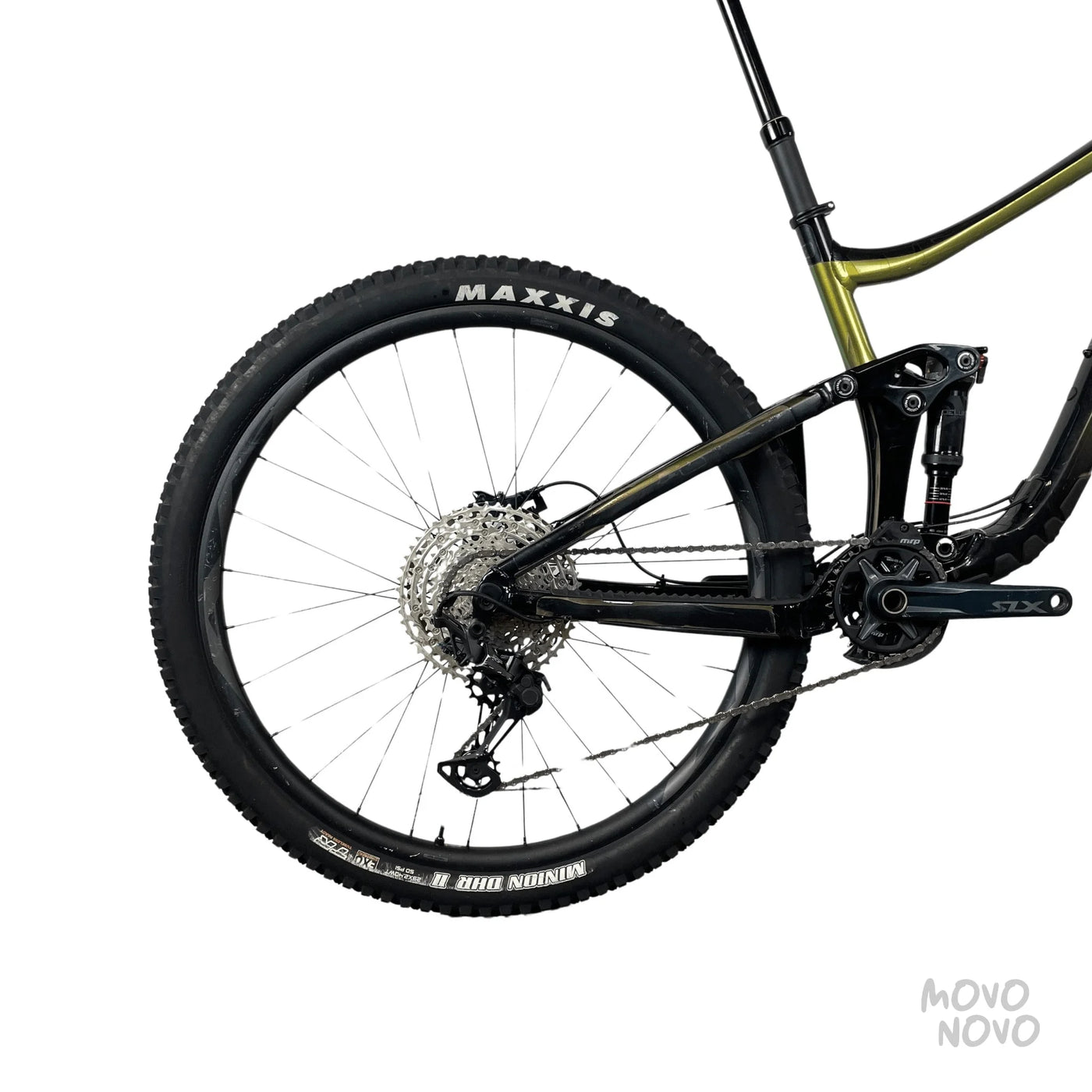 Giant Reign 2021 - M