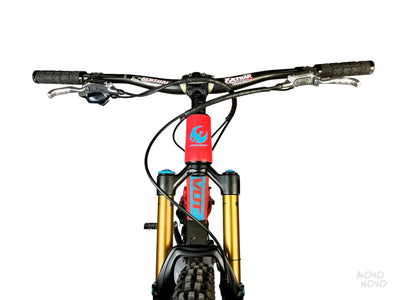 Pivot Firebird 2017 - L