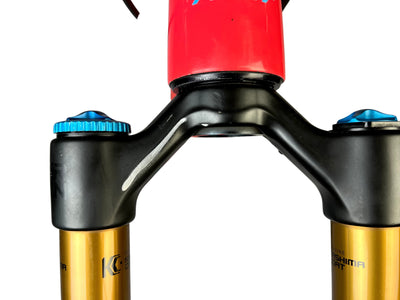 Pivot Firebird 2017 - L