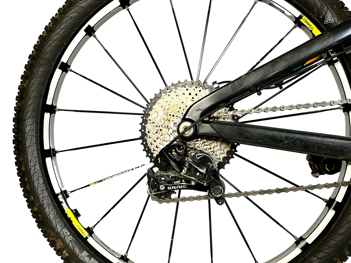 Santacruz Bronson C L 2015 - L