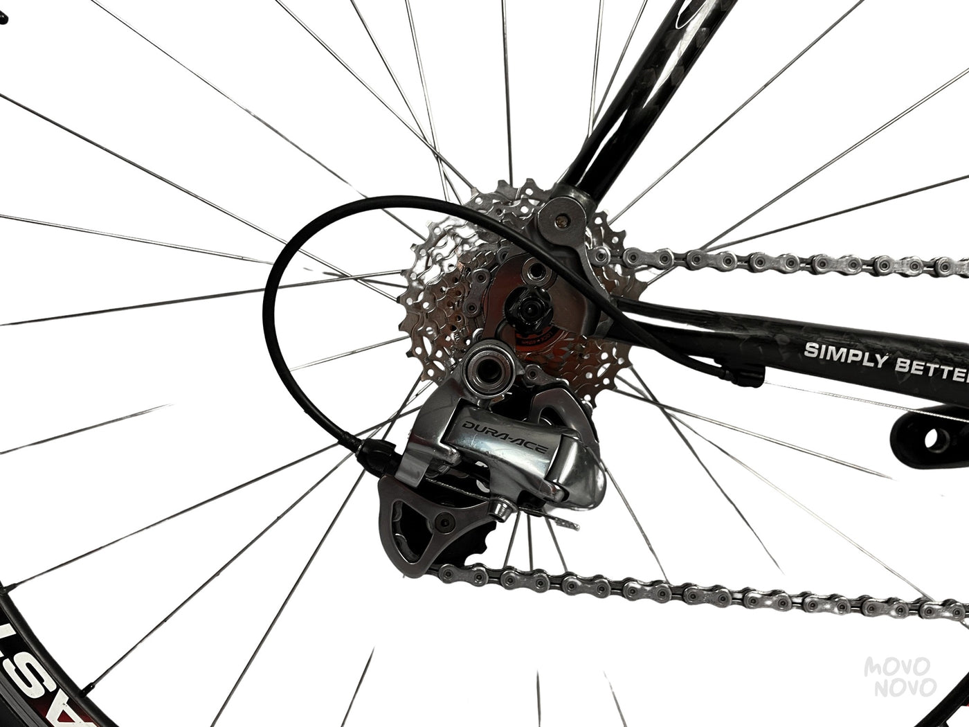 Fuji Professional 2005 - M