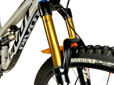 Pivot Firebird 2019 - M