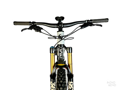 Pivot Firebird 2019 - M